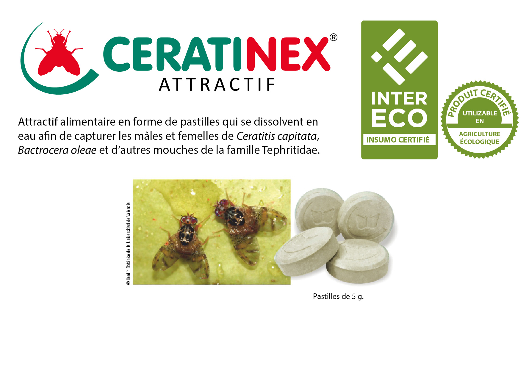CERATINEX® ATTRACTIF